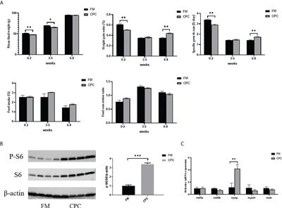 Largemouth bass (Micropterus salmoides) exhibited better growth potential after adaptation to dietary cottonseed protein concentrate inclusion but experienced higher inflammatory risk during bacterial infection